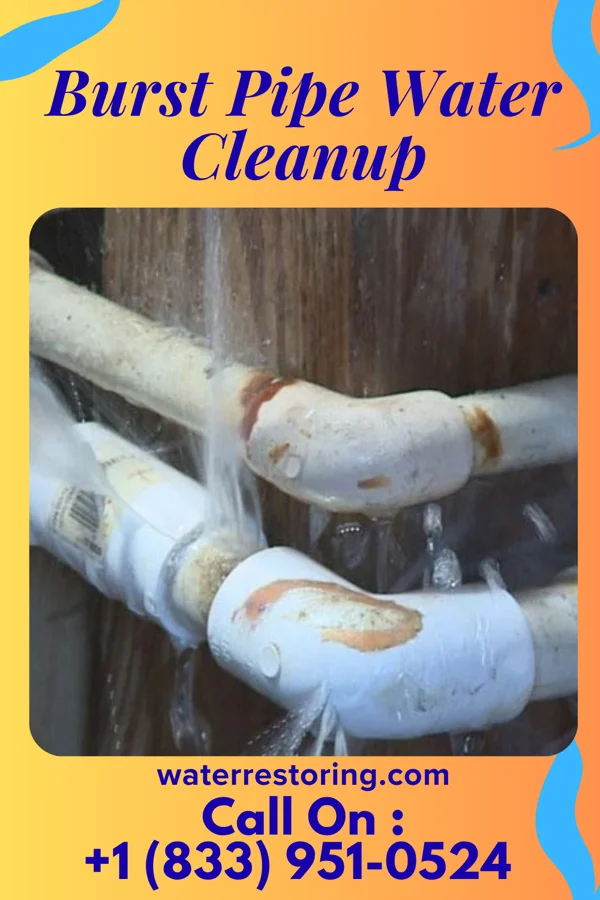 Burst Pipe Water Cleanup in Ahuimanu, HI