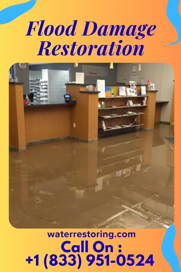 Flood Damage Restoration in Ahuimanu, HI