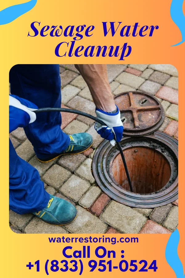 Sewage Water Cleanup in Ahuimanu, HI
