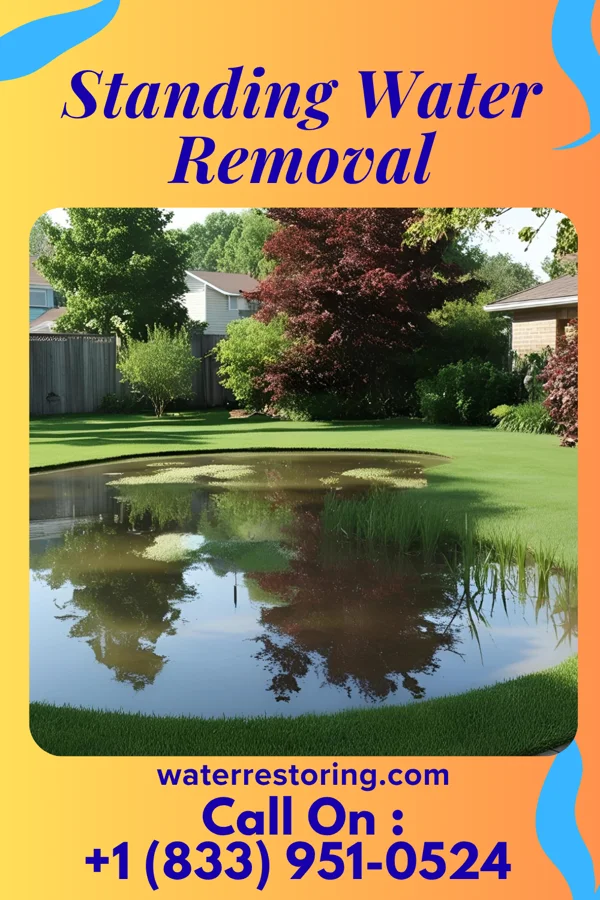 Standing Water Removal in Ahuimanu, HI